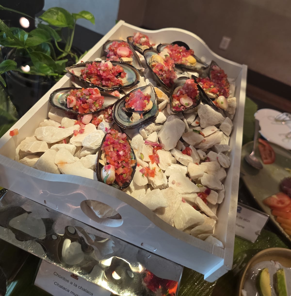 Saborea Perú Fest reunirá gastronomía, cultura y emprendimientos en Soho City Center