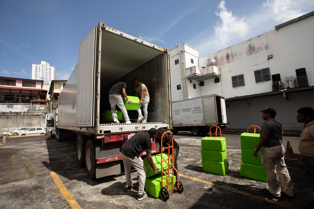 Hemeroteca de ‘La Prensa’ se resguardará en la Universidad de Florida