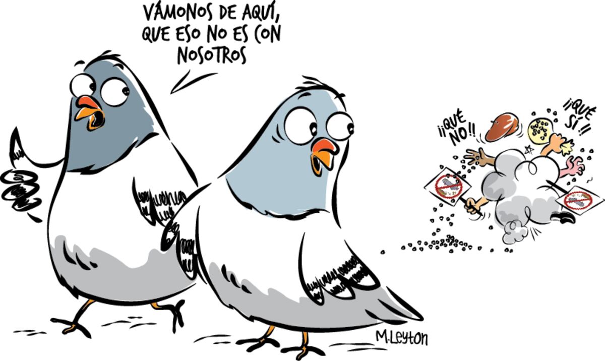 La paloma de la discordia