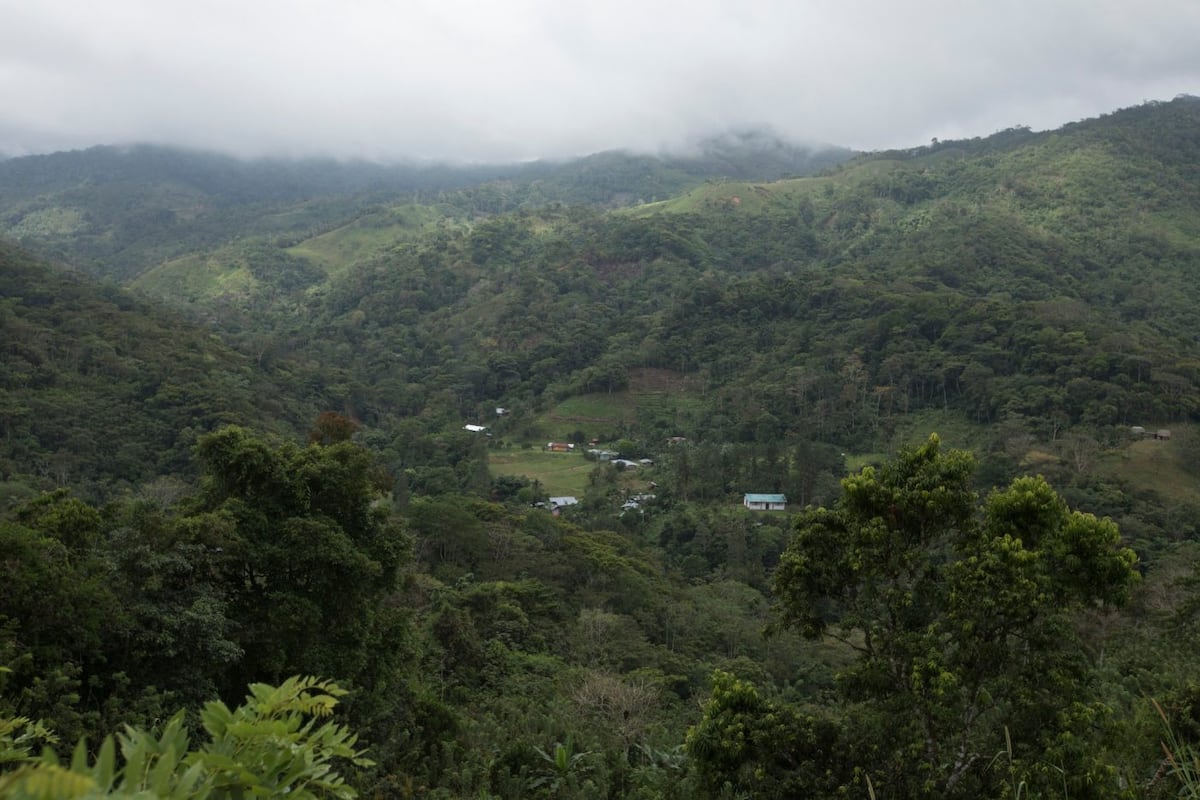Segunda y Saturnina, sembradoras en la cuenca del Canal de Panamá