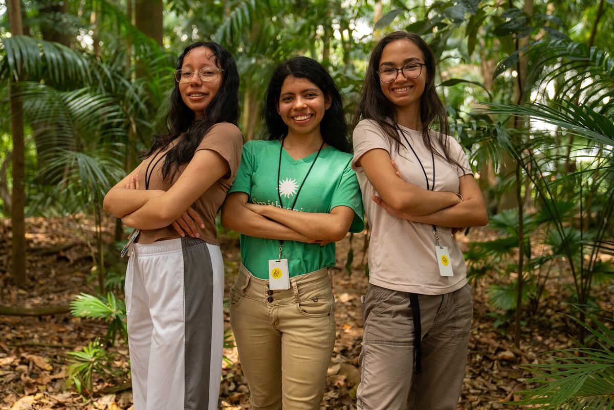 ¿Por qué la NASA está estudiando ecosistemas tropicales?