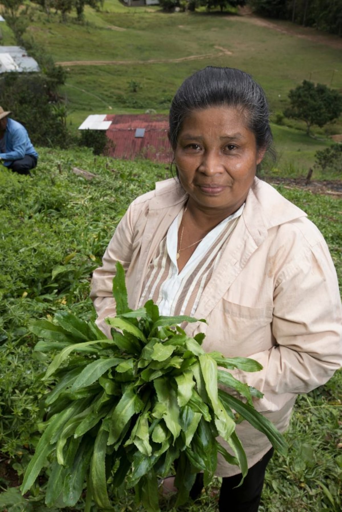 Segunda y Saturnina, sembradoras en la cuenca del Canal de Panamá