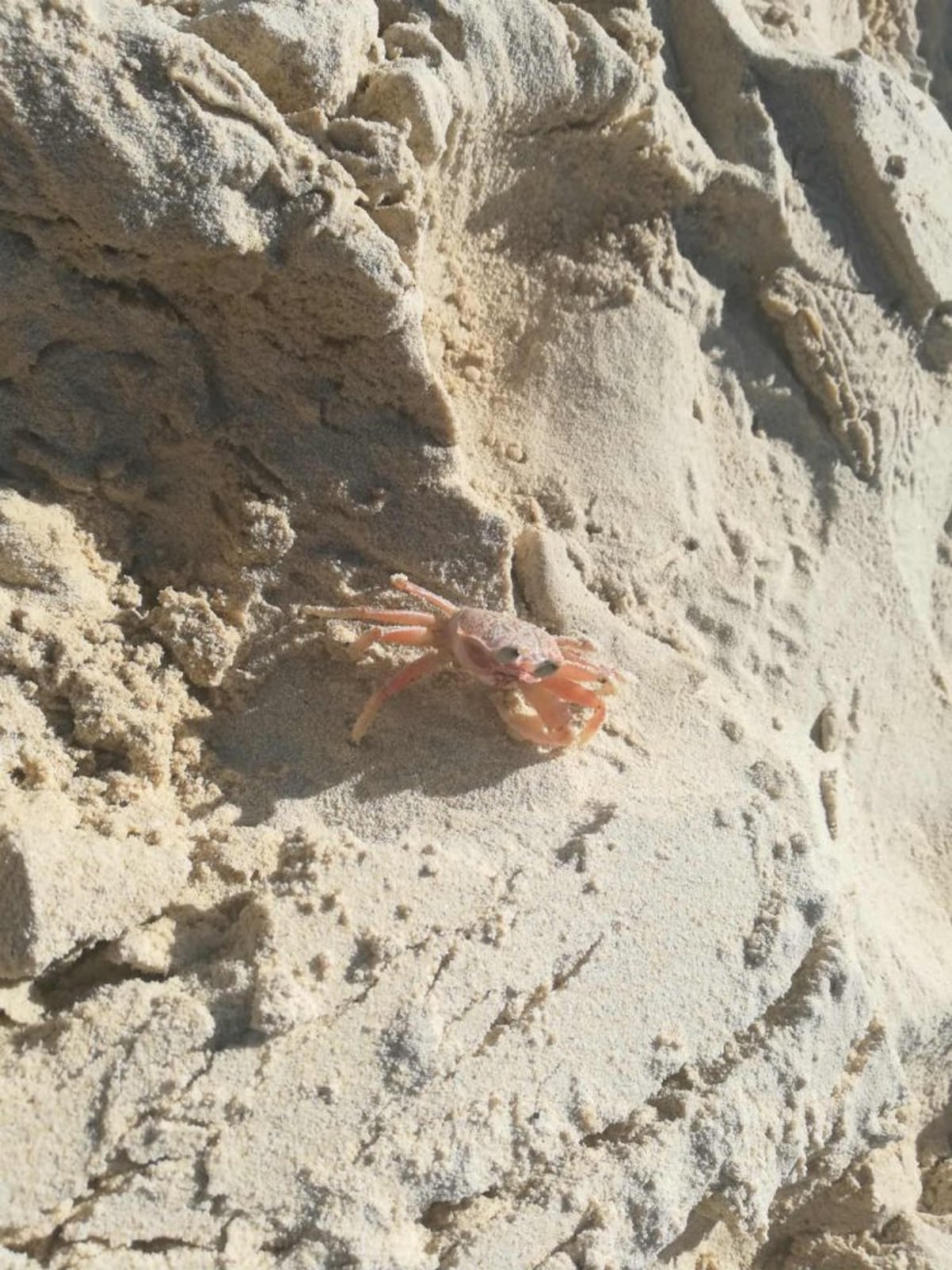 ‘Yo aquí, mi mente en Pedasí’, así conocí este destino de Azuero por primera vez