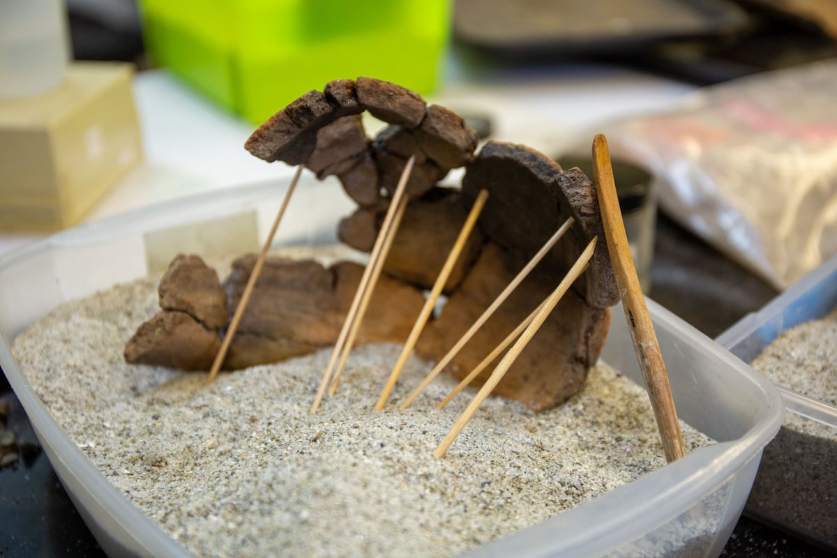 Arqueólogos en Panamá aprenden a reconstruir el pasado
