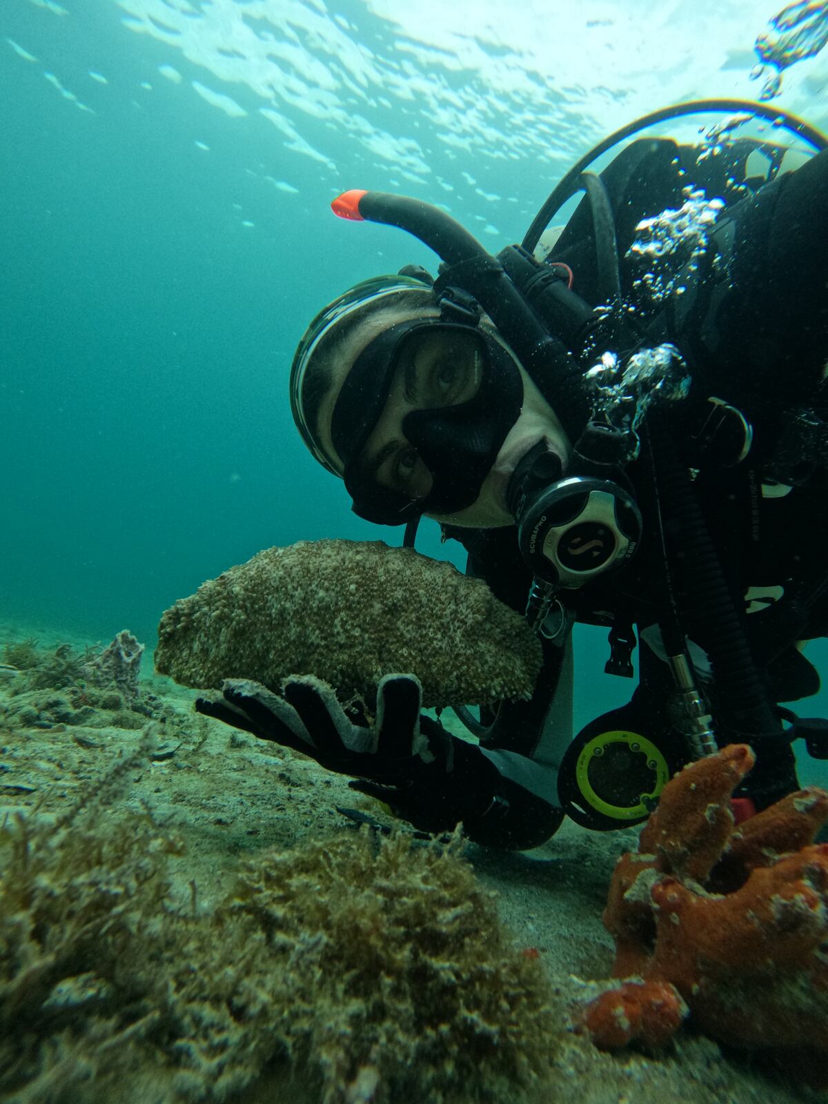 Alexandra Guzmán, la joven panameña que bucea por el futuro del planeta