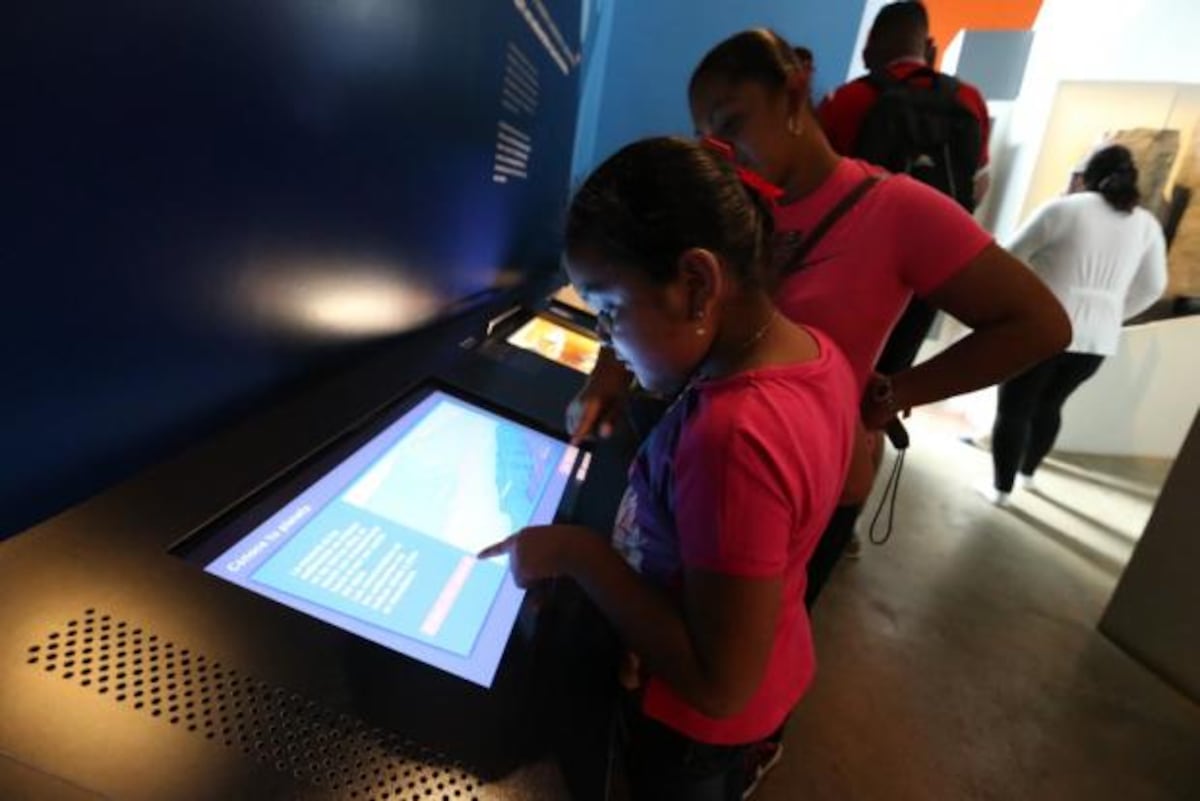 Domingos de biodiversidad.