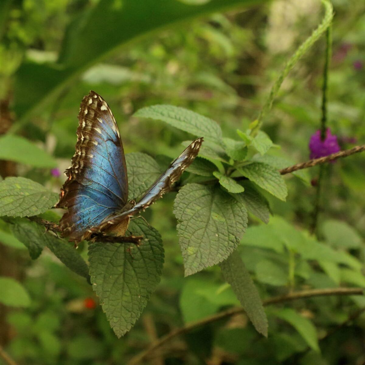 Mientras la India duerme, los demás exploran