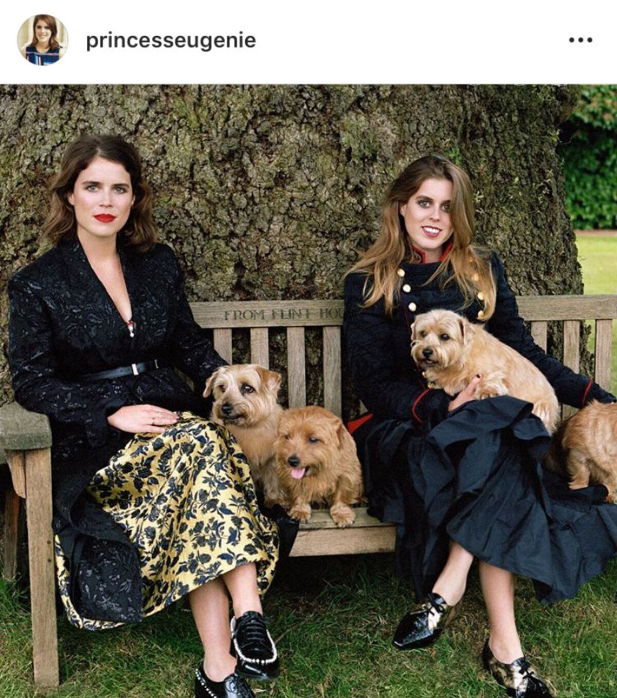 Los verdaderos príncipes y princesas de las redes sociales