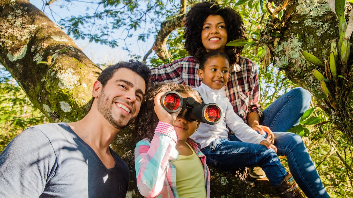 Actividades culturales para disfrutar en Panamá y el interior del país