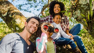 Actividades culturales para disfrutar en Panamá y el interior del país