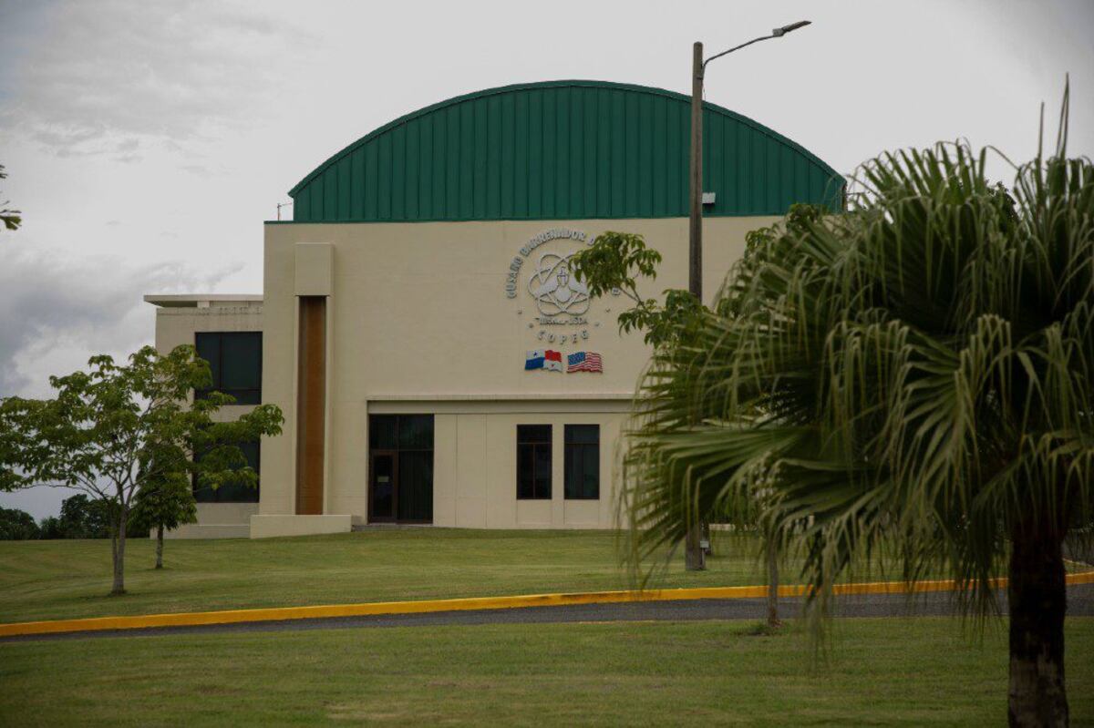 La mosca estéril que solo se produce en Panamá