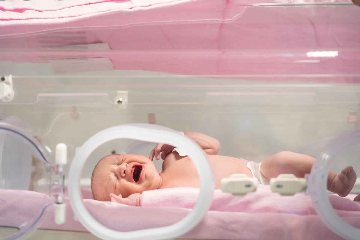 Susana Gow: La fotógrafa que captura partos y cesáreas