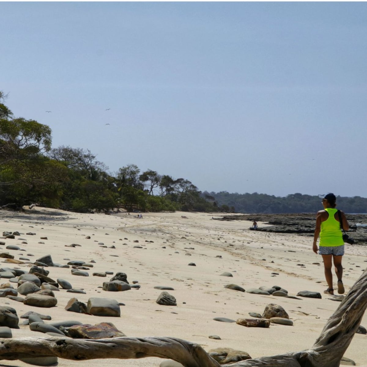 Una perla en Panamá llamada Bolaños
