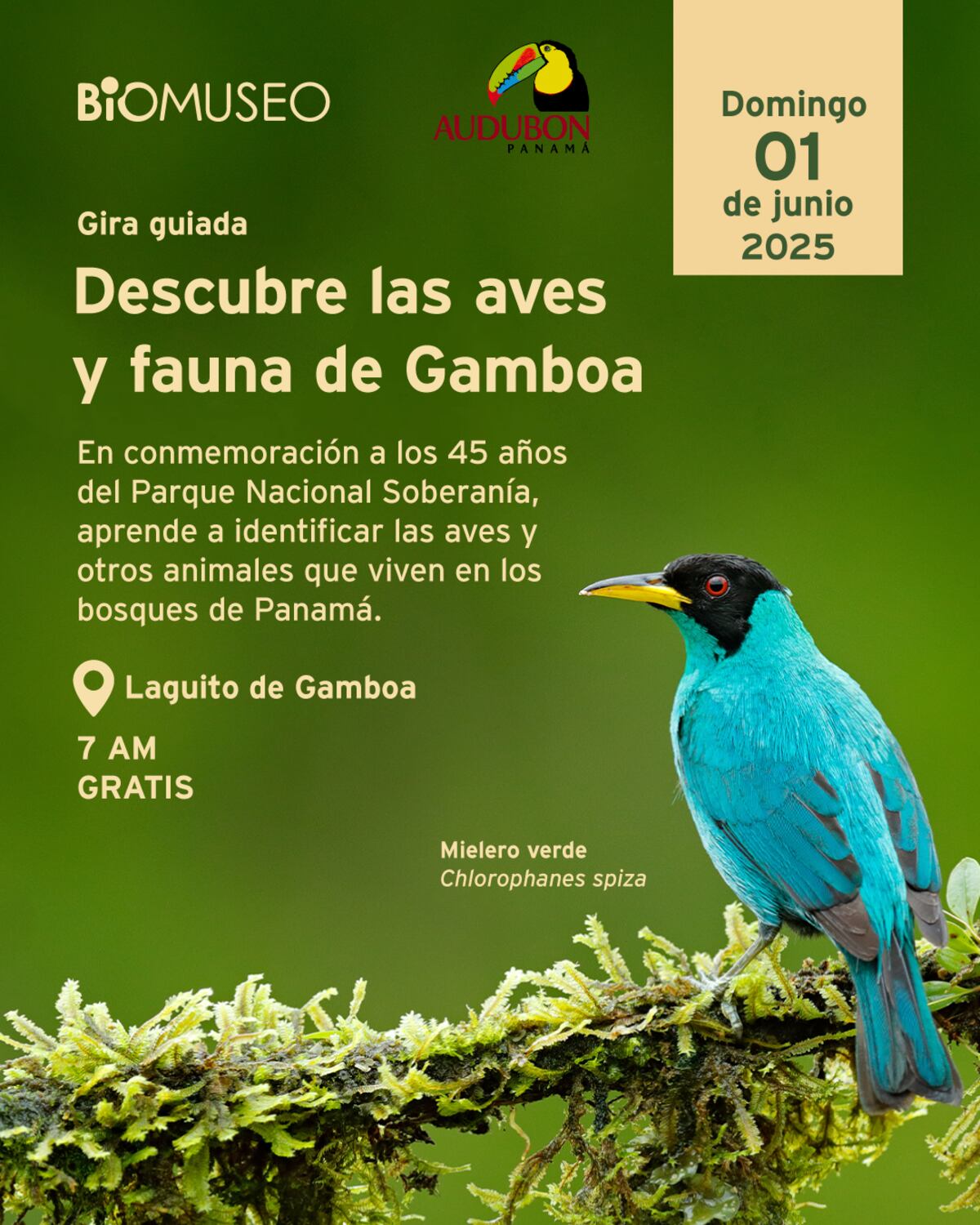 ¿Qué hacer este fin de semana? siete actividades que no te puedes perder