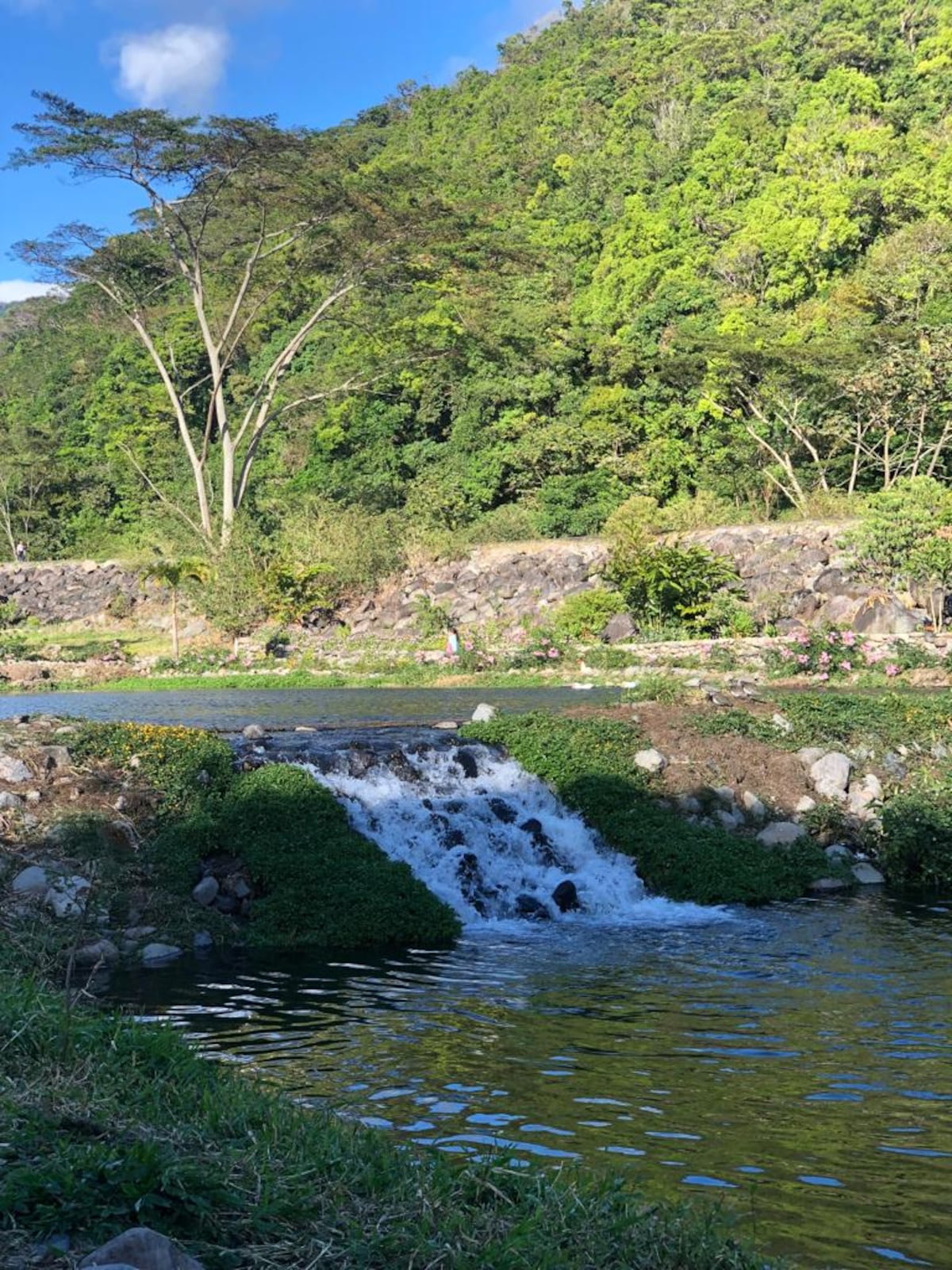 5 actividades que no te puedes perder si visitas Tierras Altas