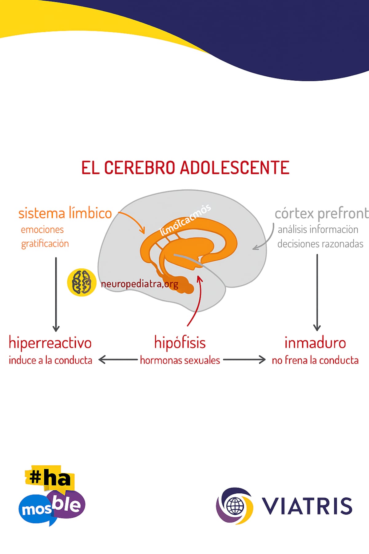 La era digital y la salud mental: ‘¿Sabe con quién están hablando sus hijos?’