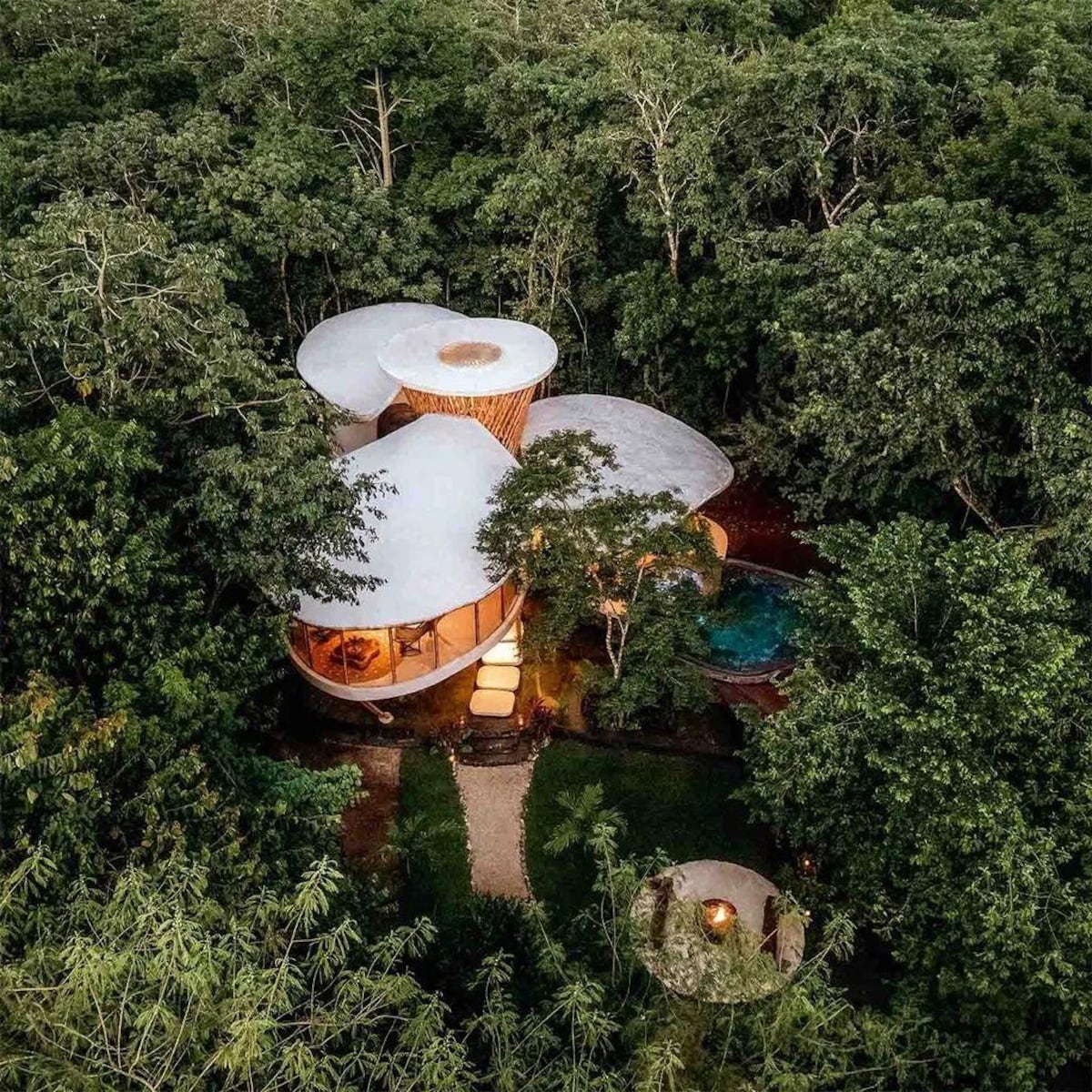 10 de las casas construidas en árboles más espectaculares del mundo (y una de ellas se encuentra en México)