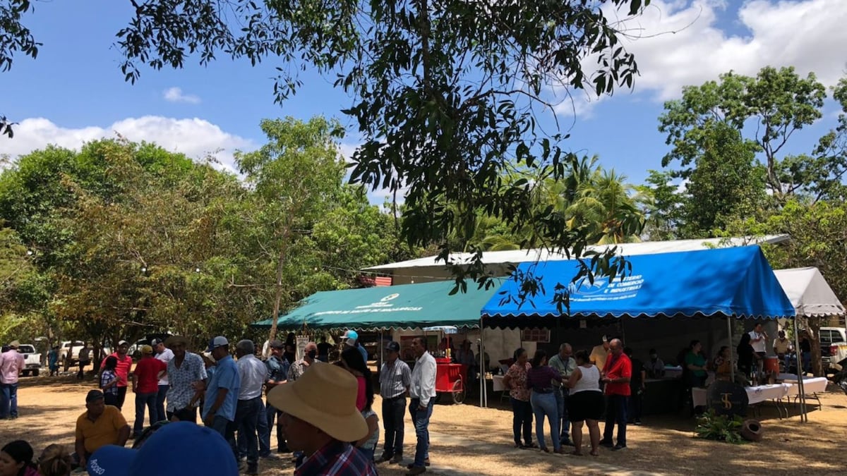 Ferias que se celebran esta semana en Panamá