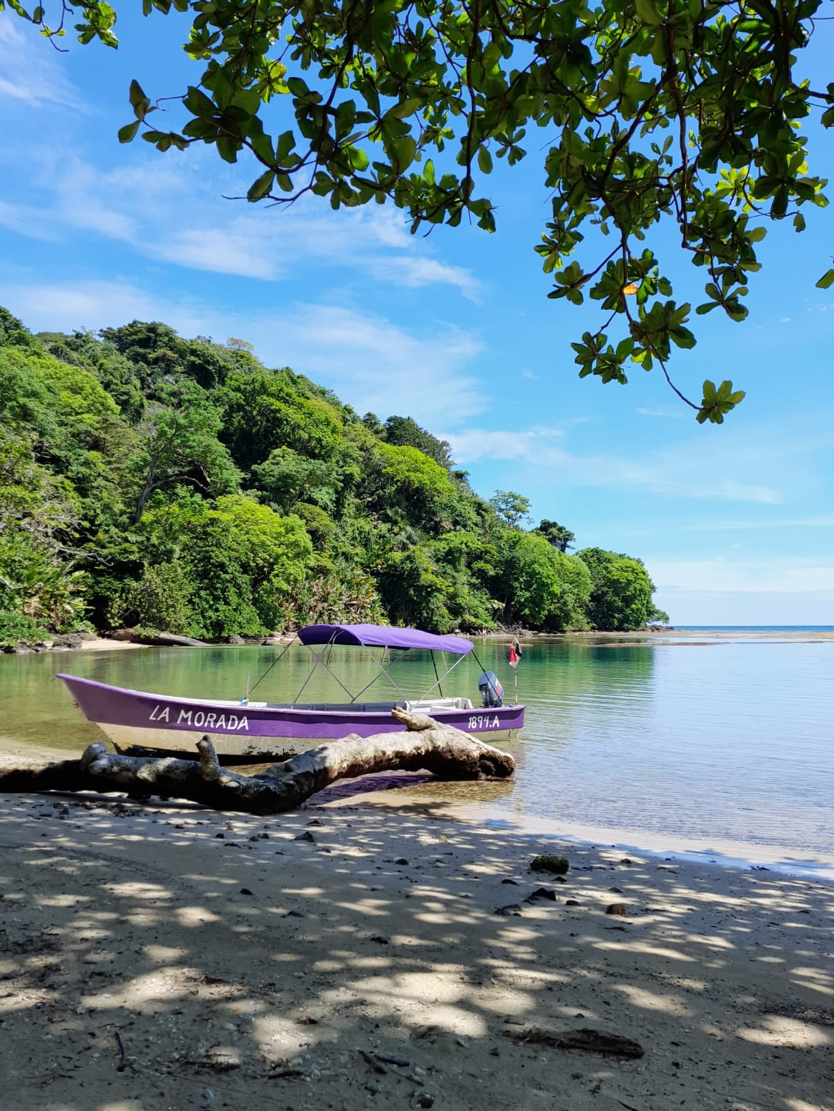 Portobelo y La Morada de la Bruja: donde la vida redime