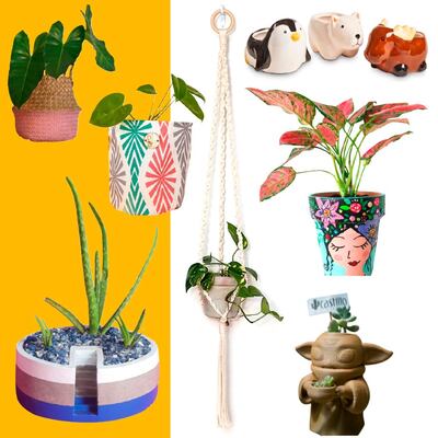 8 accesorios ‘plant lovers’