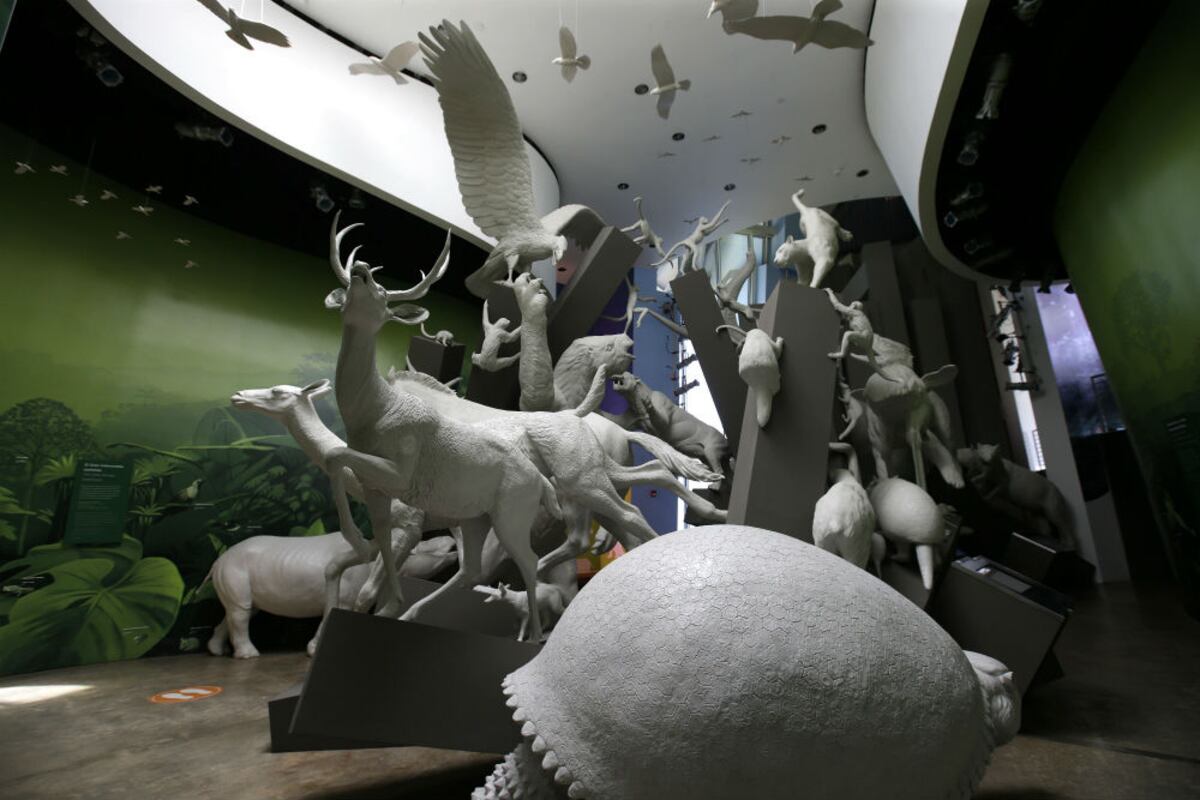 Actividades para disfrutar el verano en Panamá