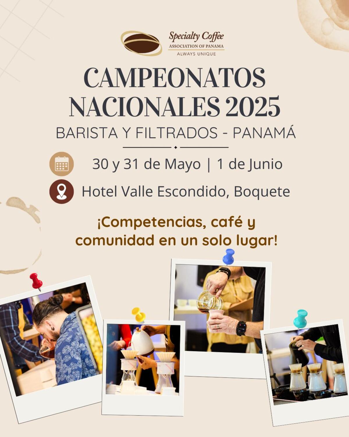 ¿Qué hacer este fin de semana? siete actividades que no te puedes perder