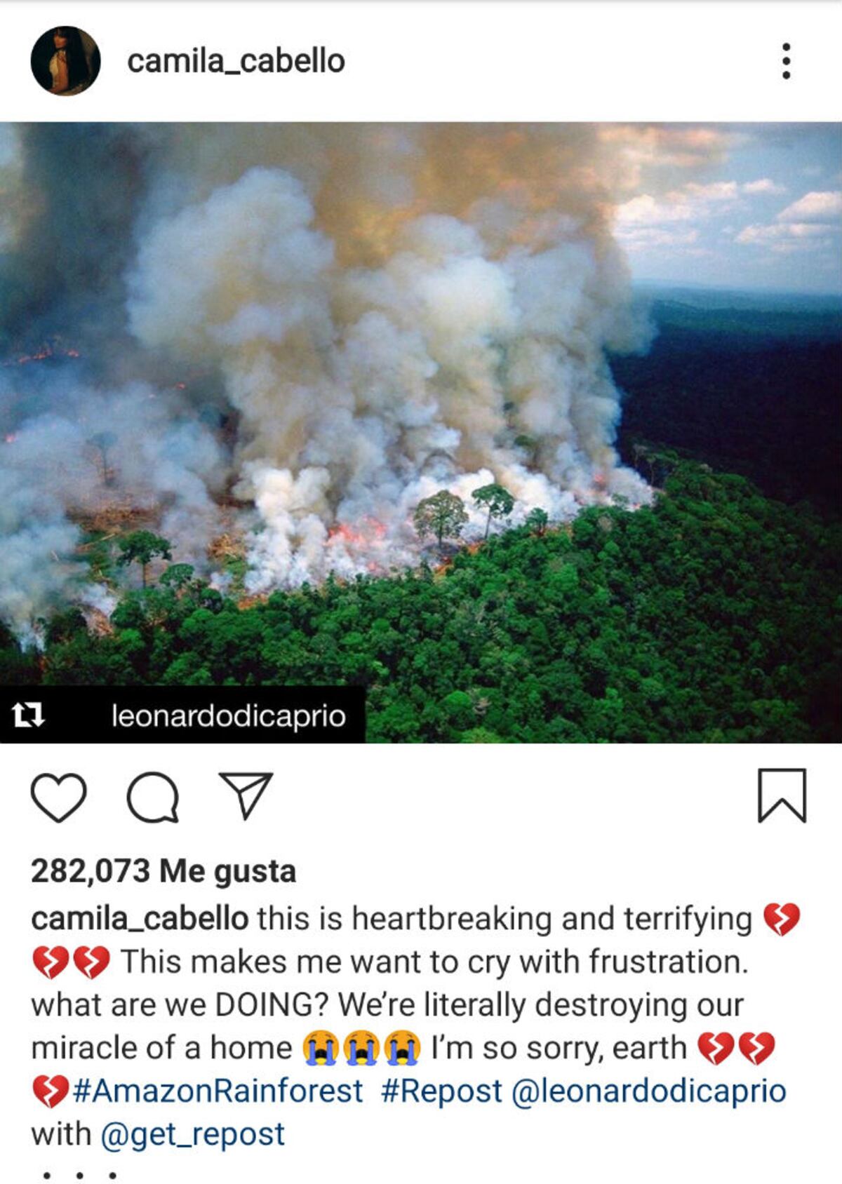 Leonardo DiCaprio y otras celebridades alzan su voz a favor del Amazonas