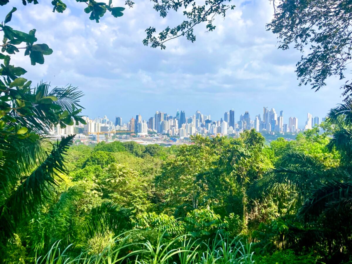 #ListadeEllas 20 fotos que (casi) todos en Panamá tienen o quieren