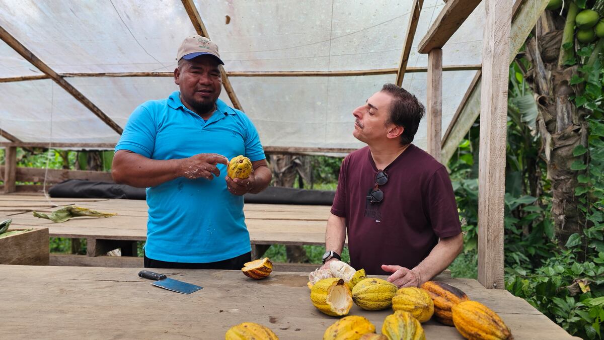 El reconocido chef Jordi Roca explora el cacao orgánico en Panamá: un viaje enriquecedor