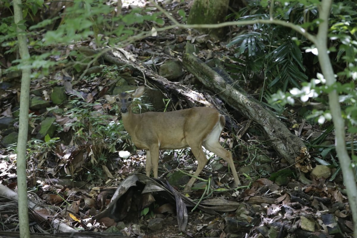 ‘Preocupate por el medio ambiente por ti’