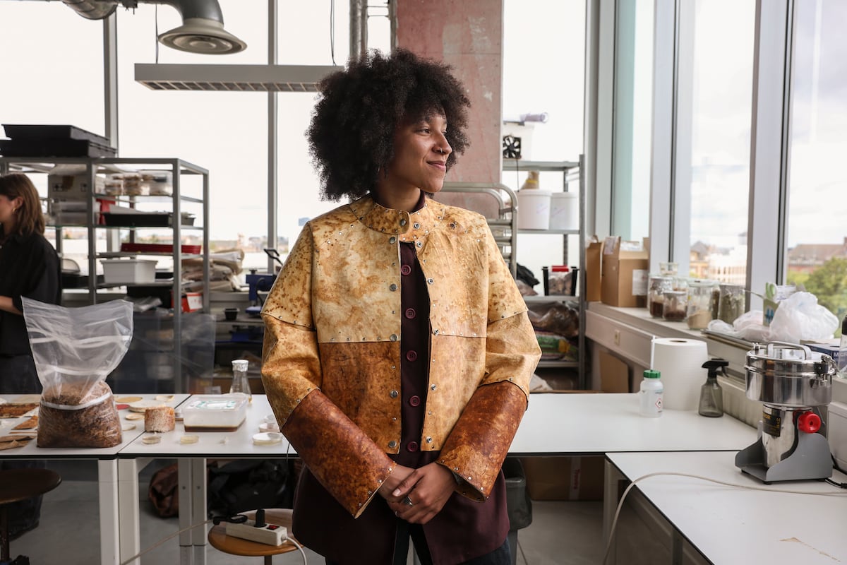 El cuero del futuro se hace con hongos