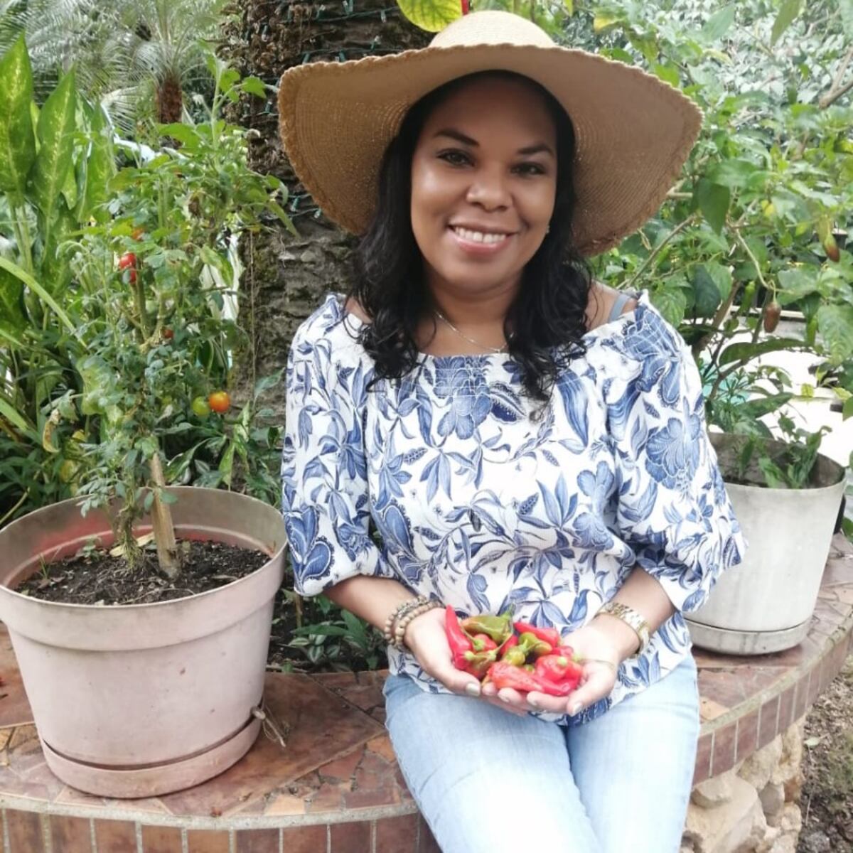 Memorias de Cuarentena: Huertos caseros
