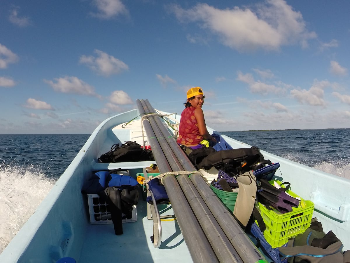 Nueva especie de pez fósil de Panamá lleva el nombre de investigadora Ngäbe del Smithsonian