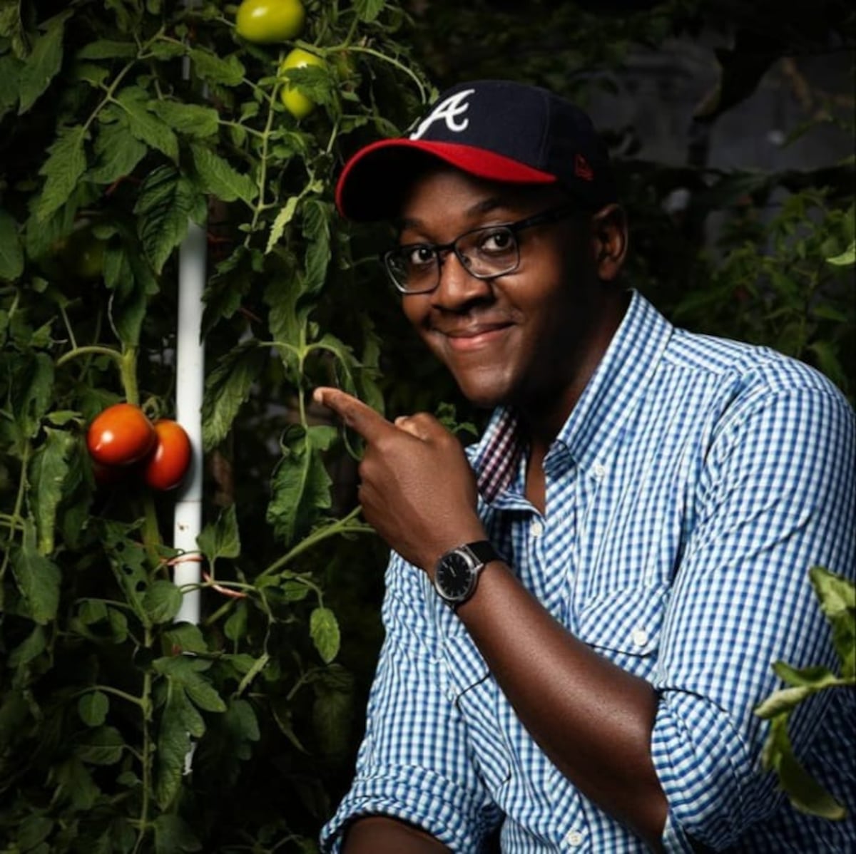 11 cuentas de Instagram en Panamá para ‘plant lovers’