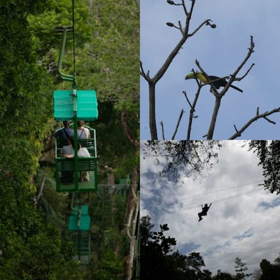 Gamboa desde el aire, recorriendo el bosque en teleférico y líneas de canopy