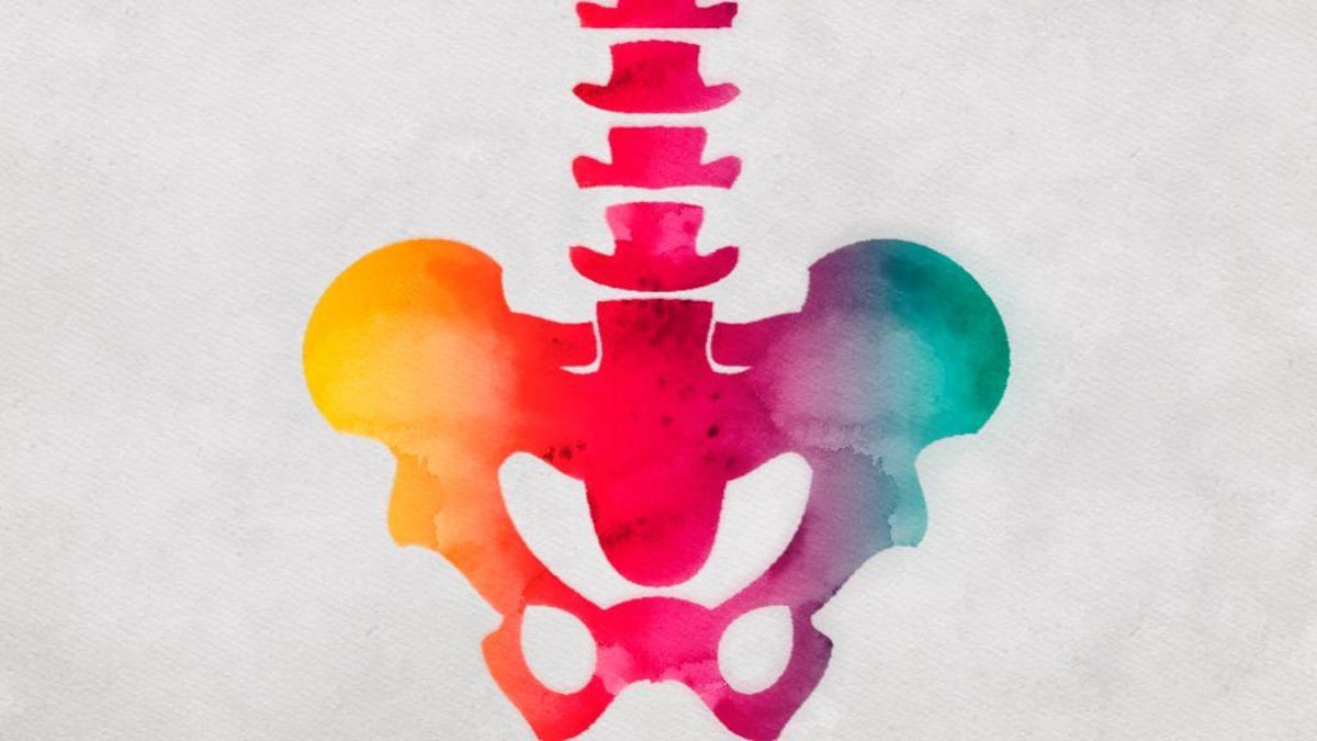 El cuerpo humano no es una obra maestra del diseño, sino un mosaico de compromisos evolutivos