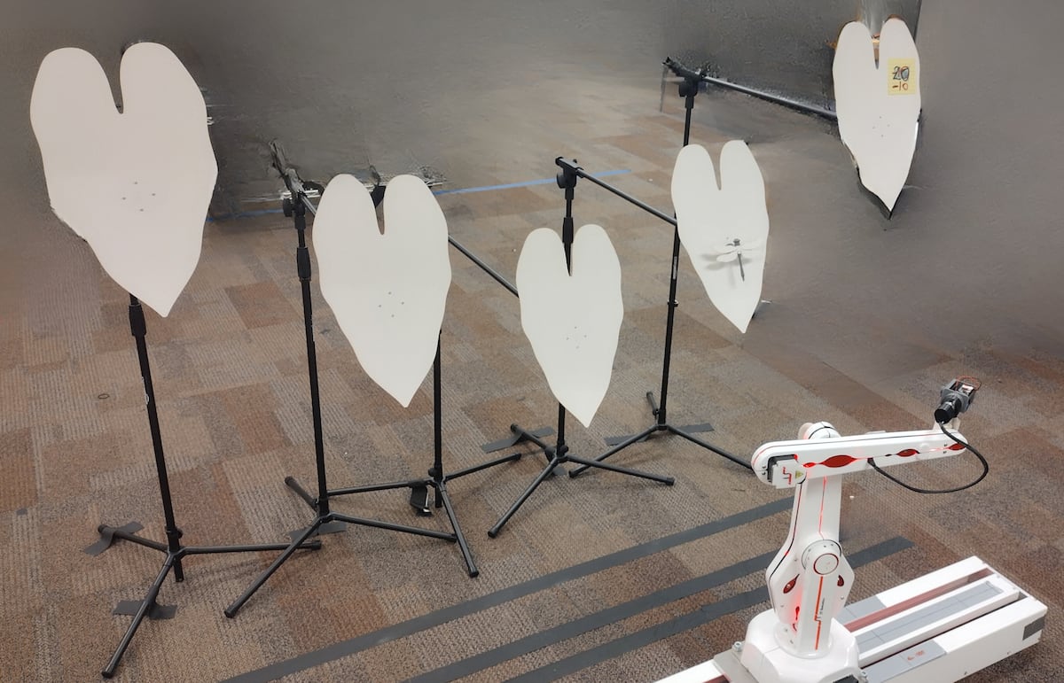 ¿Puede un murciélago atrapar a su presa en un espejo? Las habilidades expertas de un murciélago para buscar alimento reveladas mediante un robot