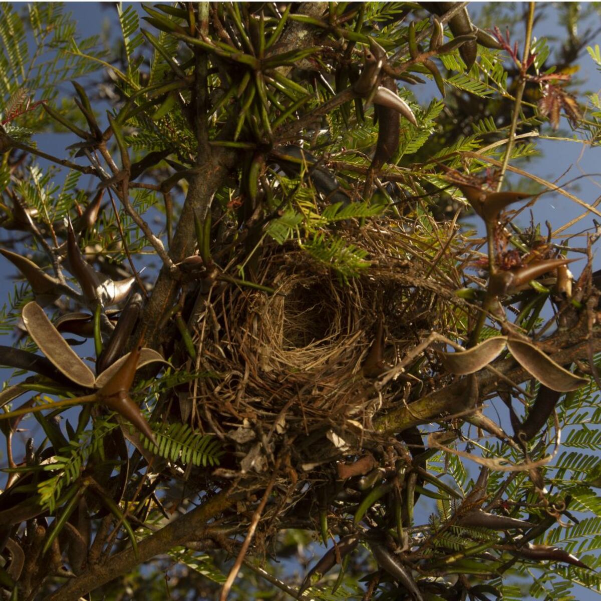 Con las chicas, de campamento a Sarigua