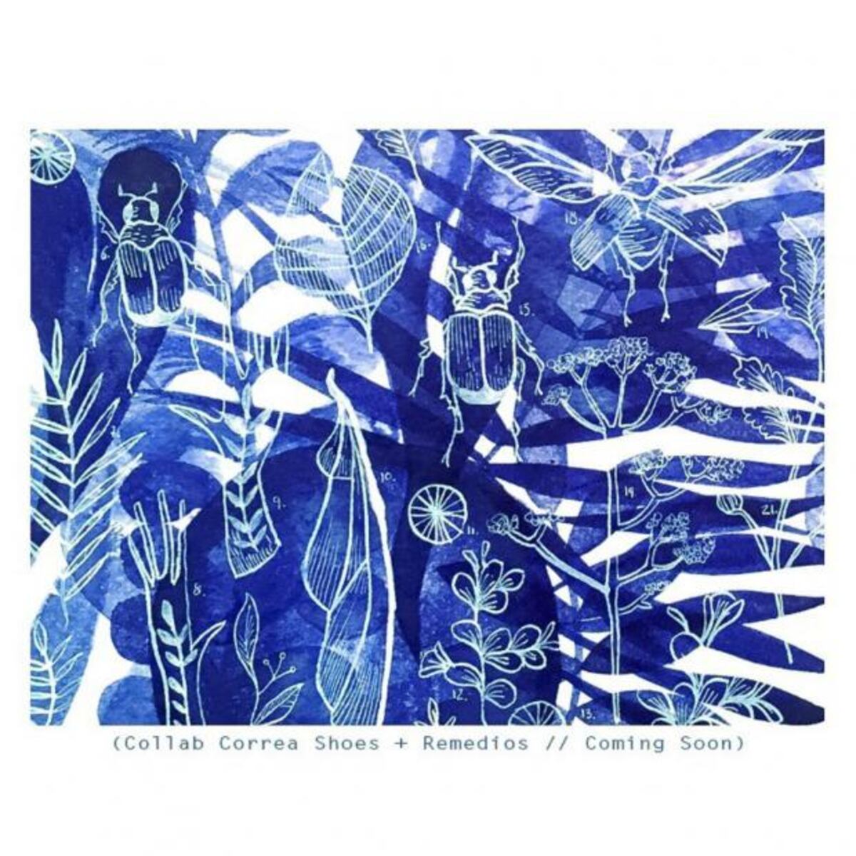 Correa + Remedios, arte en los pies