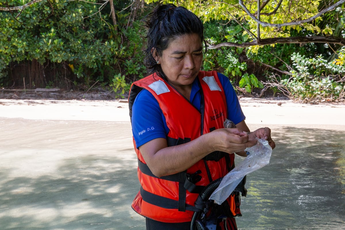 Nueva especie de pez fósil de Panamá lleva el nombre de investigadora Ngäbe del Smithsonian