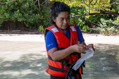 Nueva especie de pez fósil de Panamá lleva el nombre de investigadora Ngäbe del Smithsonian