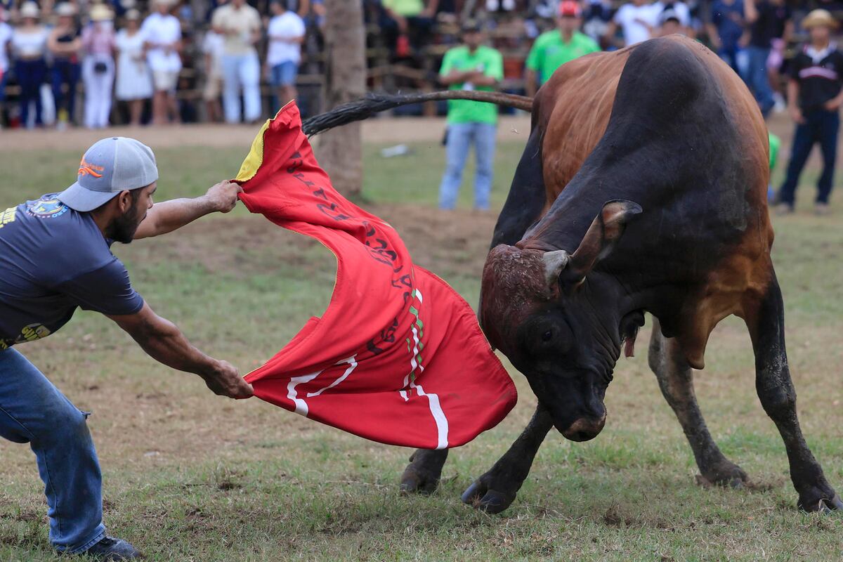 Guararé vibra con la Mejorana: tradición, fe y folclore en el corazón de Panamá