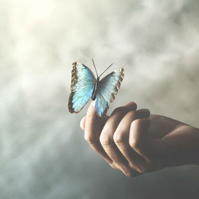 Mis deseos para el próximo año