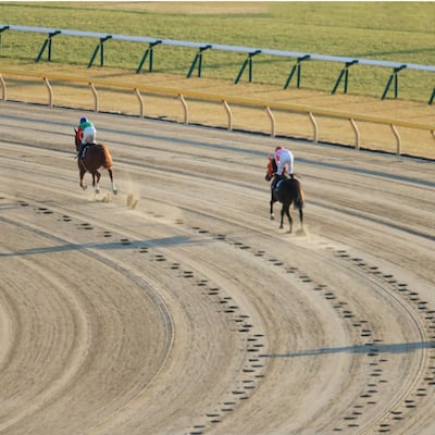 Si yo corriera… estaría en el hipódromo