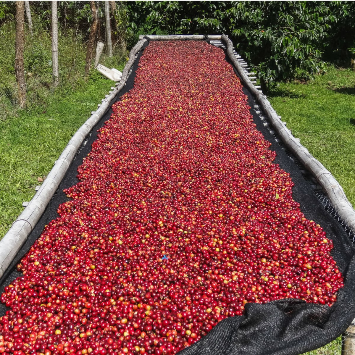 Explora Panamá, recorridos para aprovechar el verano