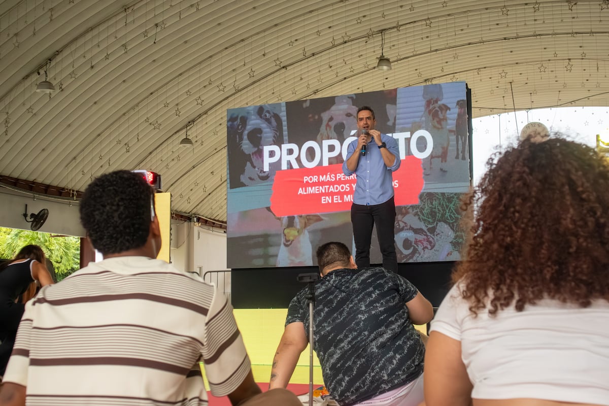 Efecto Ringo, una segunda oportunidad para las mascotas