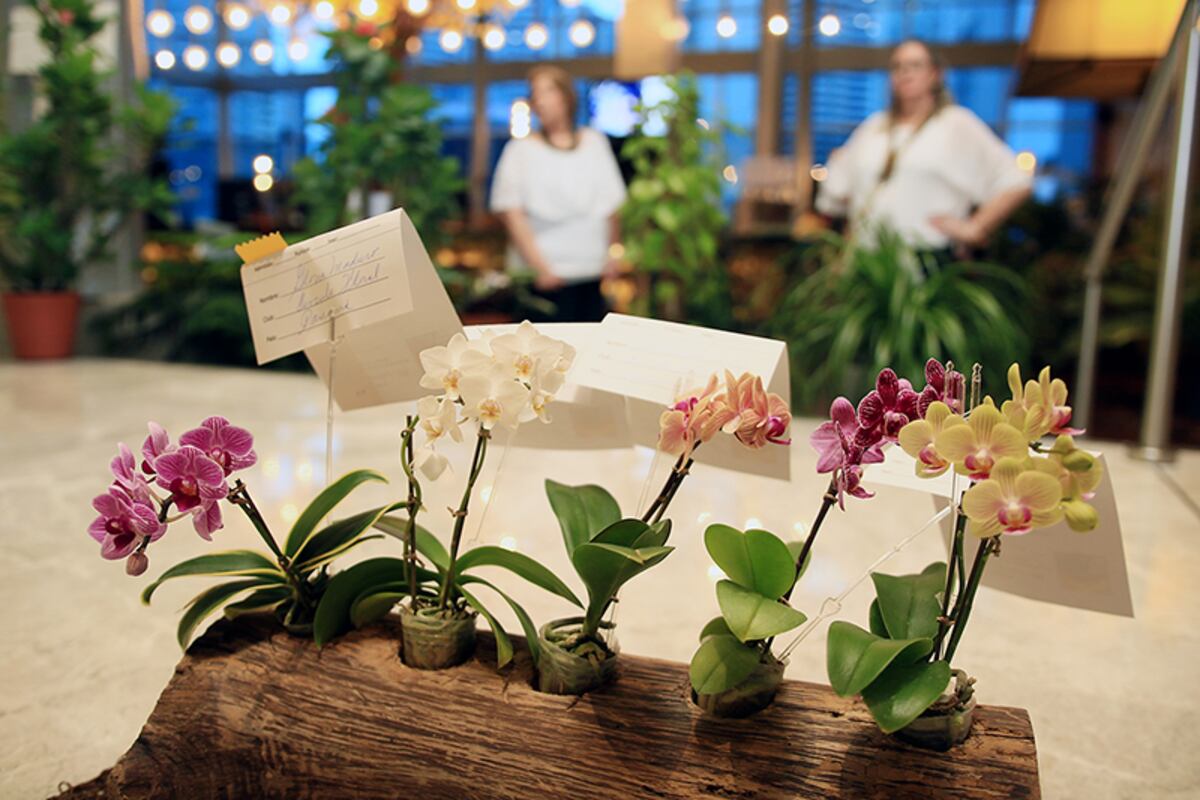 Jardines y arte en un mismo lugar