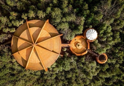 10 de las casas construidas en árboles más espectaculares del mundo (y una de ellas se encuentra en México)