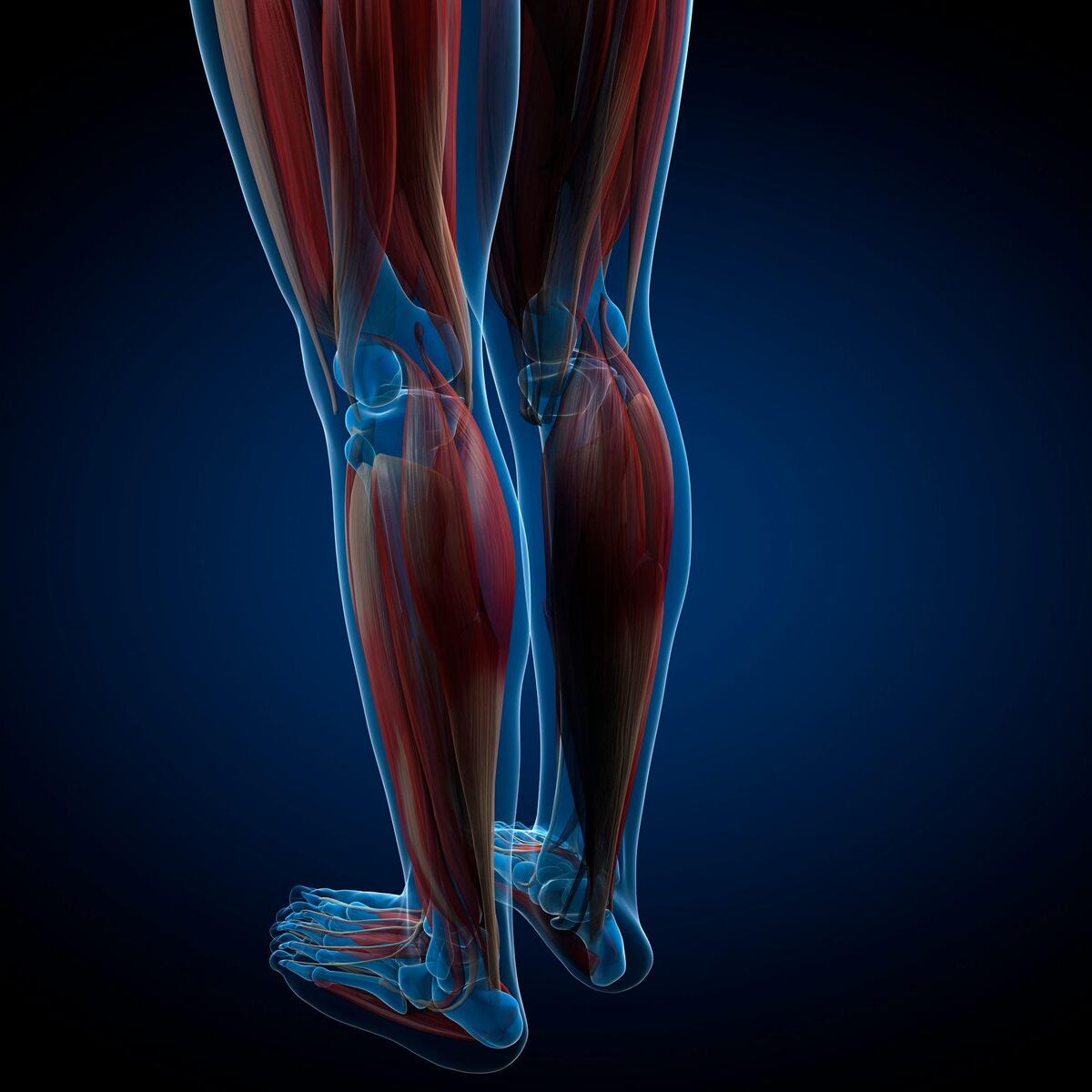 Cómo fortalecer los músculos de tus pies puede mejorar cómo mueves todo tu cuerpo (y 3 ejercicios fáciles para lograrlo)