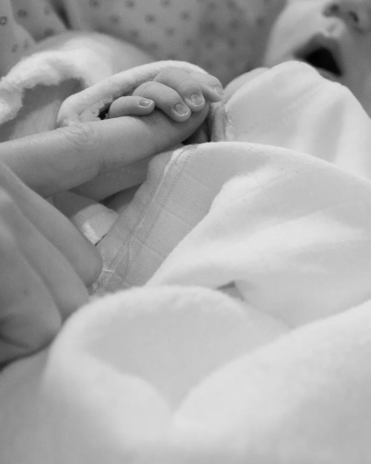 Max Verstappen se convierte en papá (en pleno fin de semana de carrera)